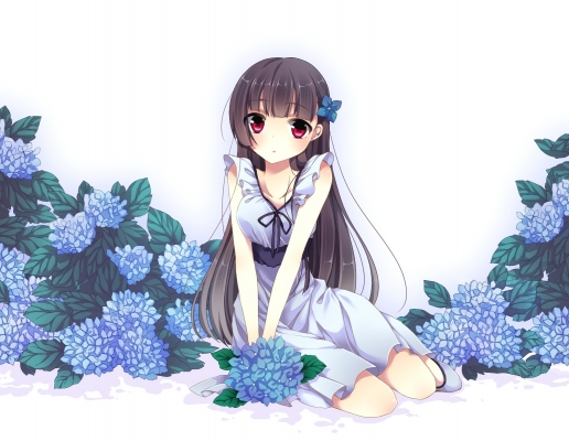 Sankarea Wallpaper
Sankarea    ,  ,     , anime picture and wallpaper desktop,    ,    