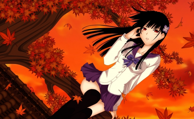 Sankarea Wallpaper
Sankarea    ,  ,     , anime picture and wallpaper desktop,    ,    