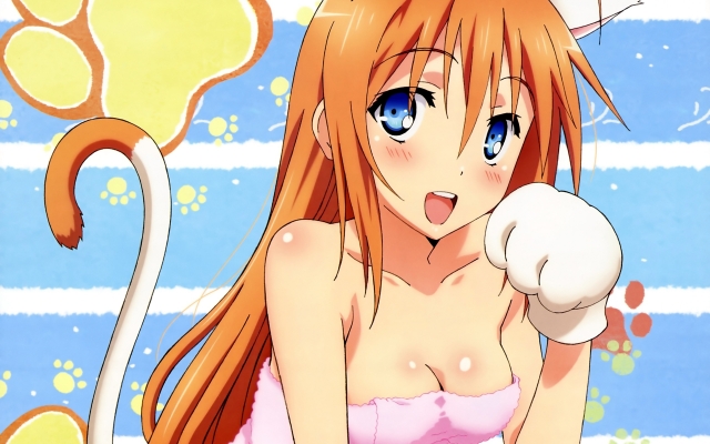 Mayo Chiki!
Mayo Chiki! anime wallpaper pictures  