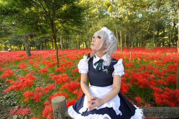 izayoi sakuya by saku
touhou cosplay pictures  