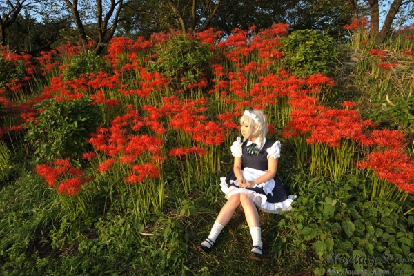 izayoi sakuya by saku
touhou cosplay pictures  