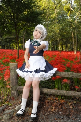 izayoi sakuya by saku
touhou cosplay pictures  