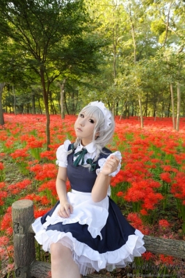 izayoi sakuya by saku
touhou cosplay pictures  