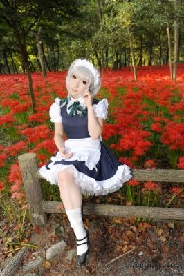 izayoi sakuya by saku
touhou cosplay pictures  