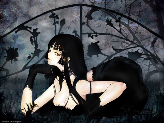 XXXholic Wallpaper
   ,  ,     , XXXholic  anime picture and wallpaper desktop,    ,    