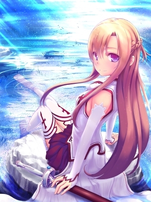 Sword Art Online 
Sword Art Online    art   ,  ,     , anime picture and wallpaper desktop,    ,    