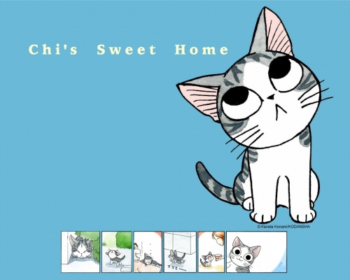 Chii's Sweet Home
     ,  ,     , Chii's Sweet Home chii anime picture and wallpaper desktop,    ,    