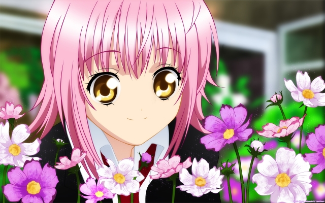 Shugo Chara!
- ,  ,     , Shugo Chara! anime picture and wallpaper desktop,    ,    