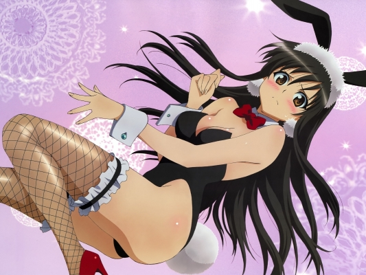 To Love-Ru
  ,  ,     , To Love-Ru anime picture and wallpaper desktop,    ,    