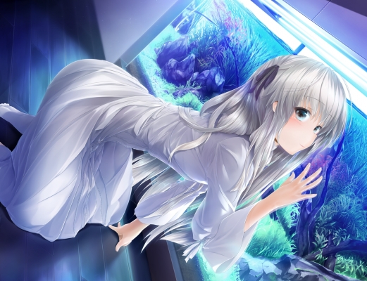 Yosuga no Sora
   ,  ,     , Yosuga no Sora anime picture and wallpaper desktop,    ,    