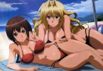 Sekirei 041
Sekirei