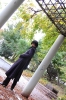 Darker than Black Cosplay 060
 Darker than Black   cosplay