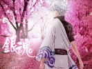 Gintama Wallpaper 041
 Gintama Silver Soul Wallpaper