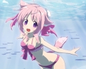 Dog Days
    ,  ,     , Dog Days anime picture and wallpaper desktop,    ,    