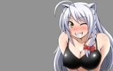 Dog Days
    ,  ,     , Dog Days anime picture and wallpaper desktop,    ,    