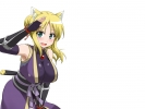 Dog Days
    ,  ,     , Dog Days anime picture and wallpaper desktop,    ,    