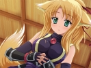 Dog Days
    ,  ,     , Dog Days anime picture and wallpaper desktop,    ,    