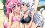 Dog Days
    ,  ,     , Dog Days anime picture and wallpaper desktop,    ,    