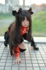 tohsaka rin by makiron
 fate stay night Cosplay pictures     