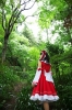 hakurei reimu by riyo
touhou cosplay pictures  