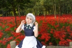 izayoi sakuya by saku
touhou cosplay pictures  