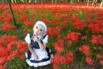 izayoi sakuya by saku
touhou cosplay pictures  