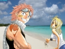 Fairy Tail 
  Fairy Tail          ,  ,     , anime picture and wallpaper desktop,    ,    