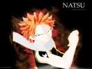 Fairy Tail 
  Fairy Tail          ,  ,     , anime picture and wallpaper desktop,    ,    