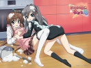 Akane-Iro ni Somaru Saka
     ,  ,     , Akane-Iro ni Somaru Saka anime picture and wallpaper desktop,    ,    