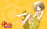 Hidamari Sketch
   ,  ,     , Hidamari Sketch anime picture and wallpaper desktop,    ,    