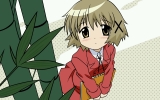 Hidamari Sketch
   ,  ,     , Hidamari Sketch anime picture and wallpaper desktop,    ,    