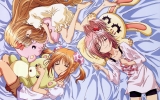 Shugo Chara!
- ,  ,     , Shugo Chara! anime picture and wallpaper desktop,    ,    