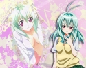 To Love-Ru
  ,  ,     , To Love-Ru anime picture and wallpaper desktop,    ,    