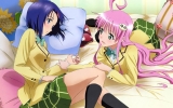 To Love-Ru
  ,  ,     , To Love-Ru anime picture and wallpaper desktop,    ,    