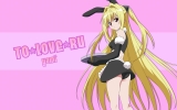 To Love-Ru
  ,  ,     , To Love-Ru anime picture and wallpaper desktop,    ,    