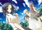 Yosuga no Sora
   ,  ,     , Yosuga no Sora anime picture and wallpaper desktop,    ,    