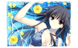 Yosuga no Sora
   ,  ,     , Yosuga no Sora anime picture and wallpaper desktop,    ,    