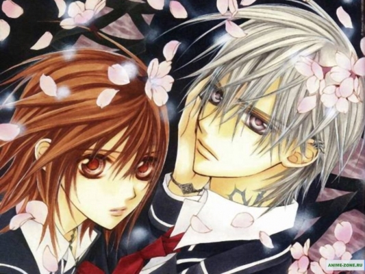 Vampire Knight
