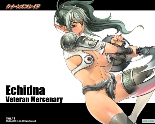 Echidna
Queens Blade: Wandering Warriors