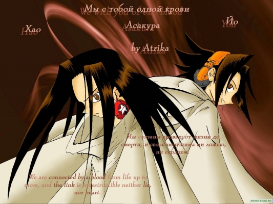 Hao & Yoh
Shaman King