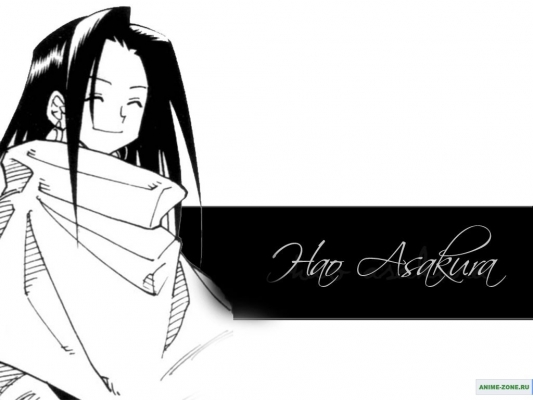 Hao Asakura
Shaman King