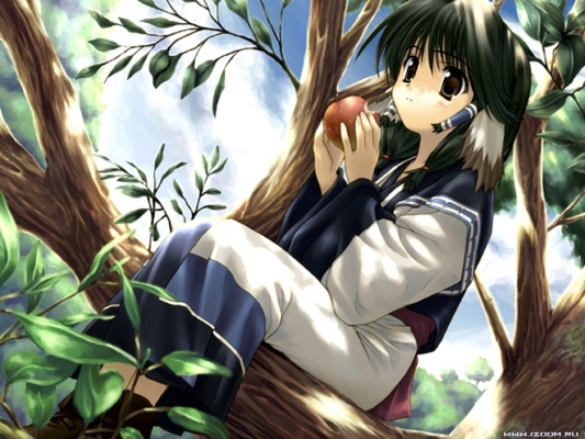 Utawarerumono_5
Utawarerumono