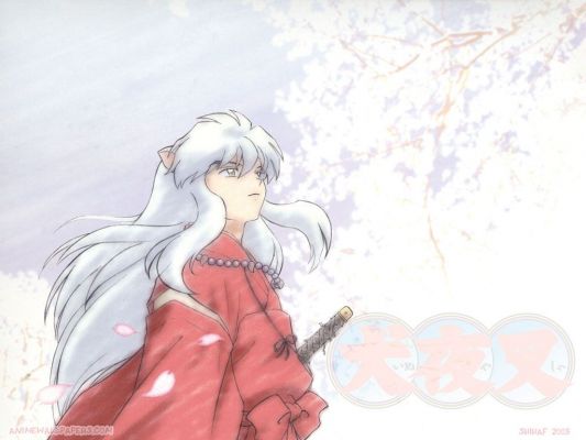 Inuyasha
Inuyasha