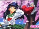 Inuyasha
Inuyasha