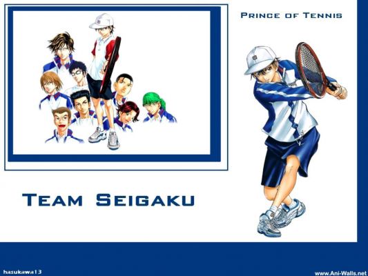 Prince of Tennis13
Prince of Tennis 