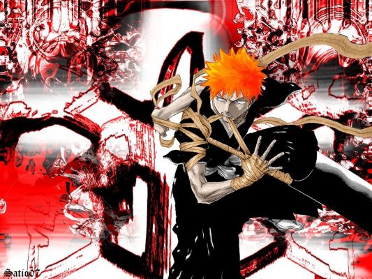 bleach26
bleach 