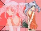 Nadesico1
Nadesico 