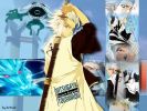 bleach12
bleach 