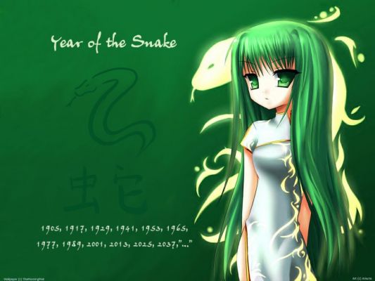 Year_of_the_Snake_Wallpaper_by_TheMorningMist
