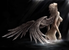Angel
Angel